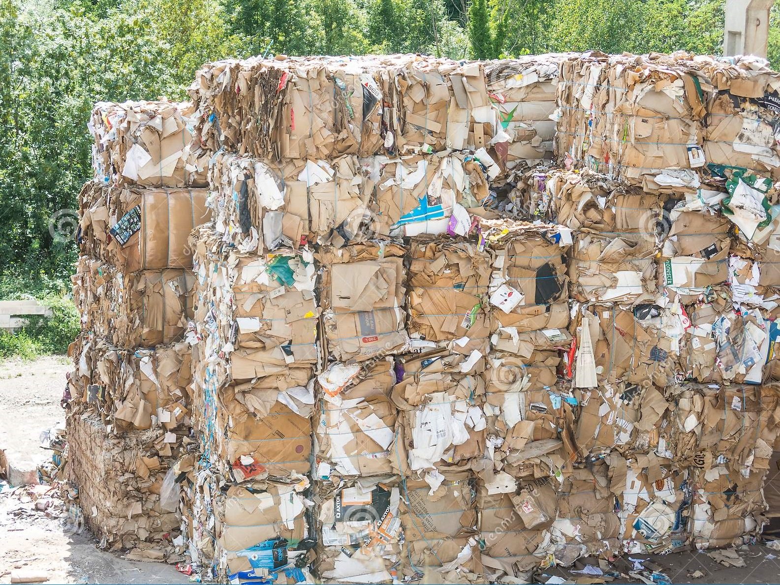 recycled-paper-factory-bales-cardboard-boxes-papers-prepared-to-be-warehouse-ecological-indust...jpg