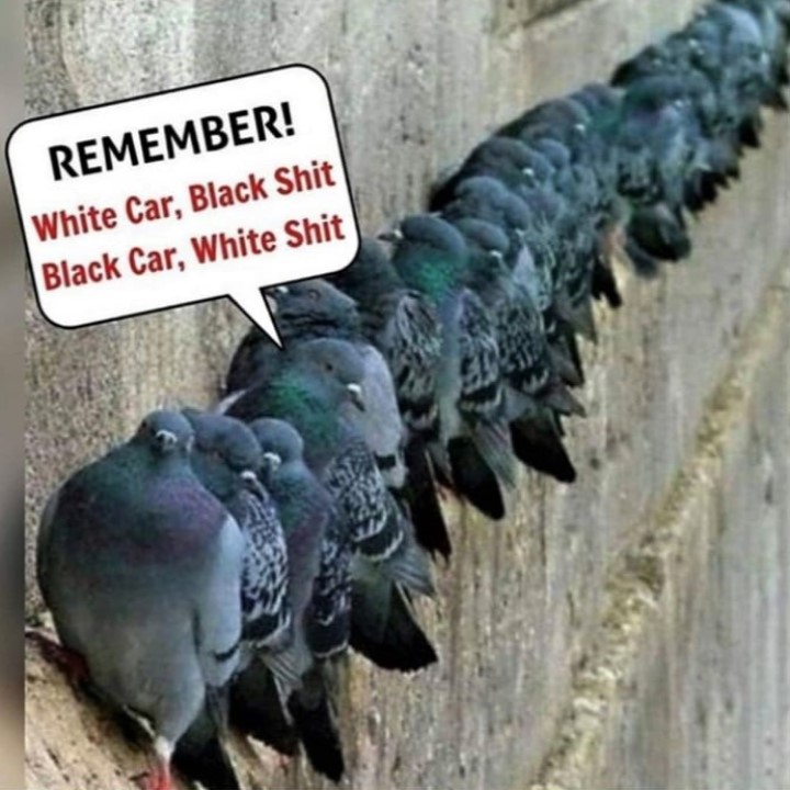 Remember!.jpg