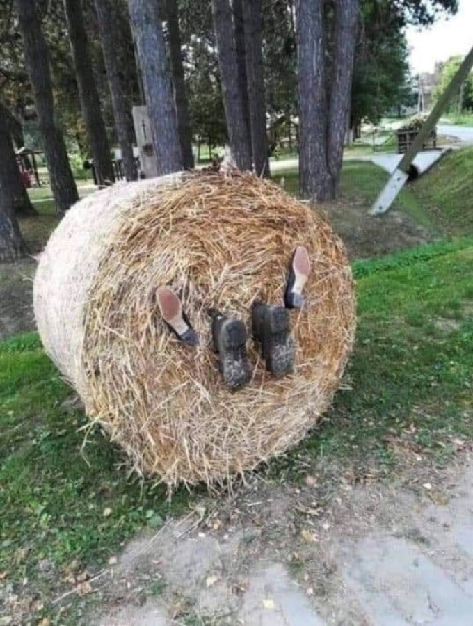 Rolling In The Hay.jpg