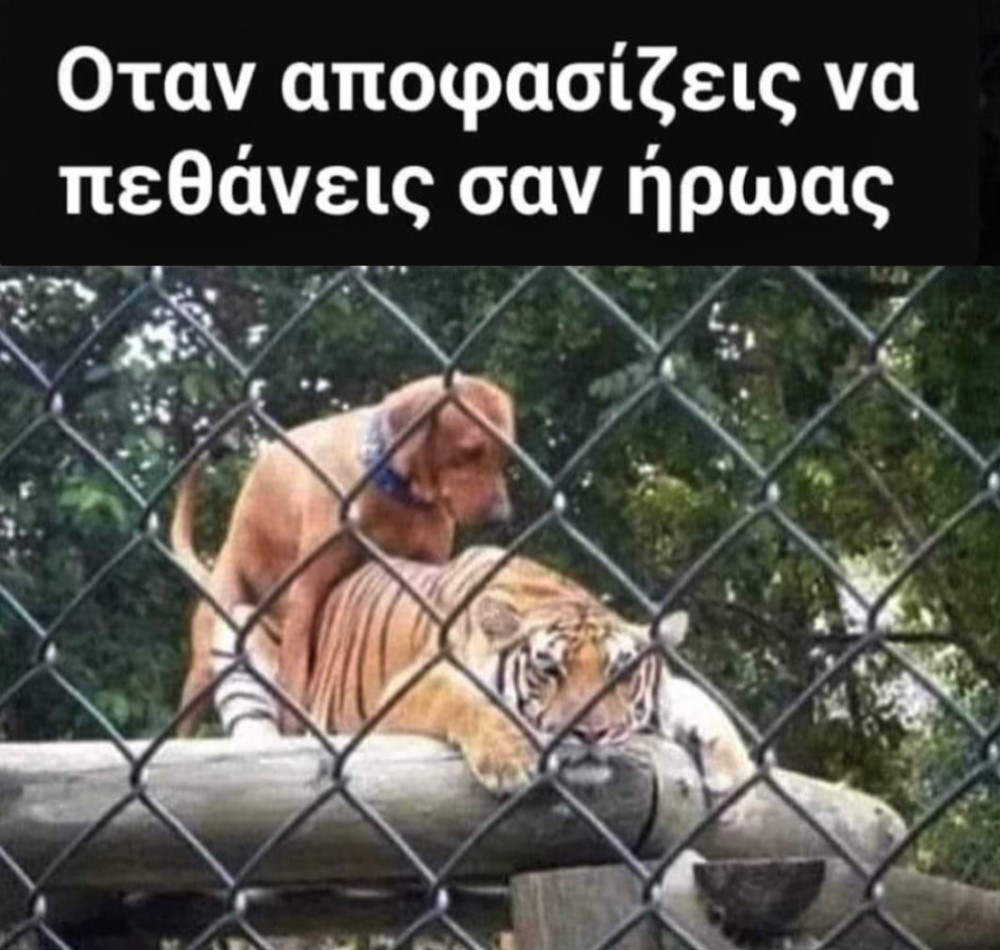 Σαν ήρωας.jpg