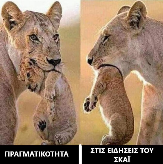 ΣΚΑΙ.jpg