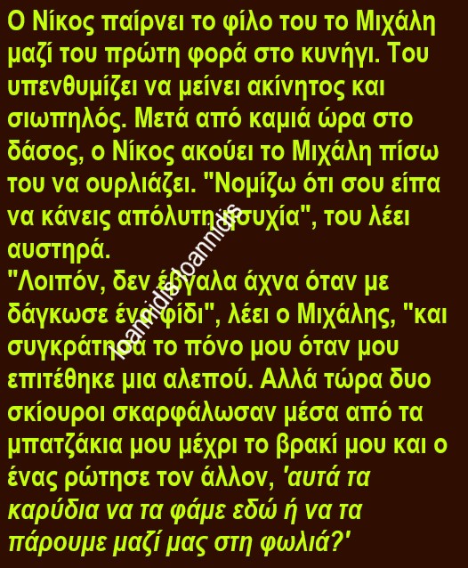 σκιουροι.jpg