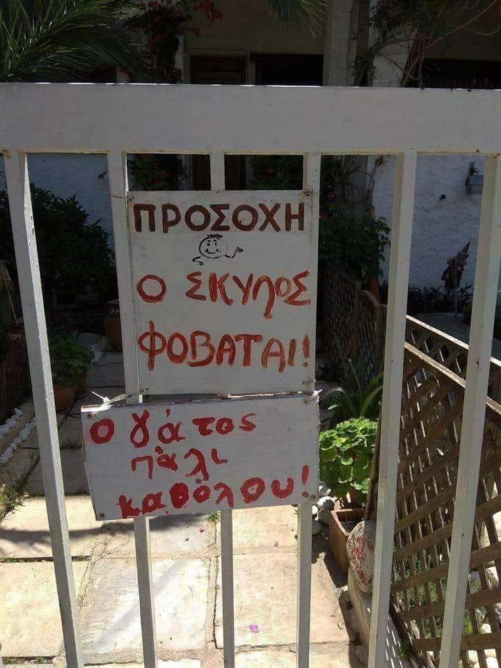 Σκύλος-Γάτος.jpg