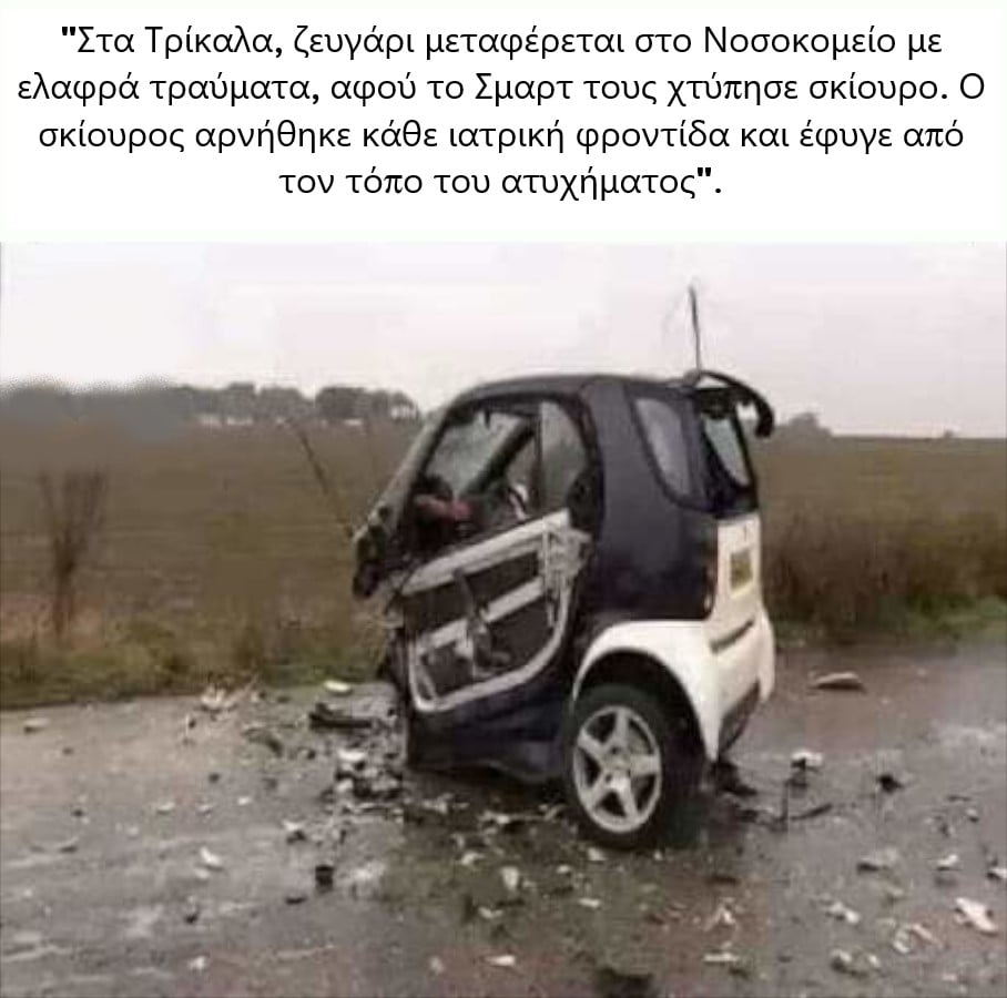 σμαρτ σκιουρος.jpg