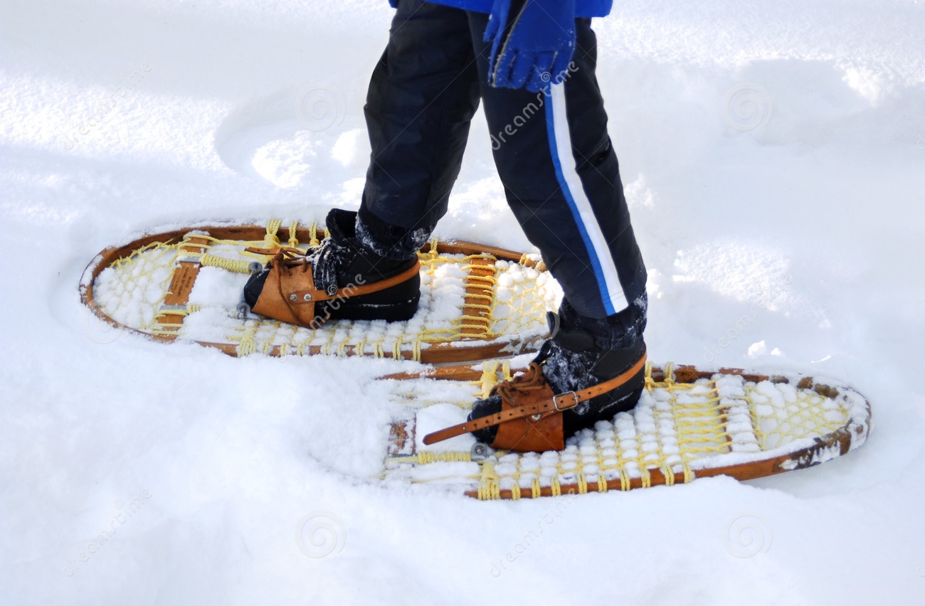 snow-shoeing-1820992.jpg