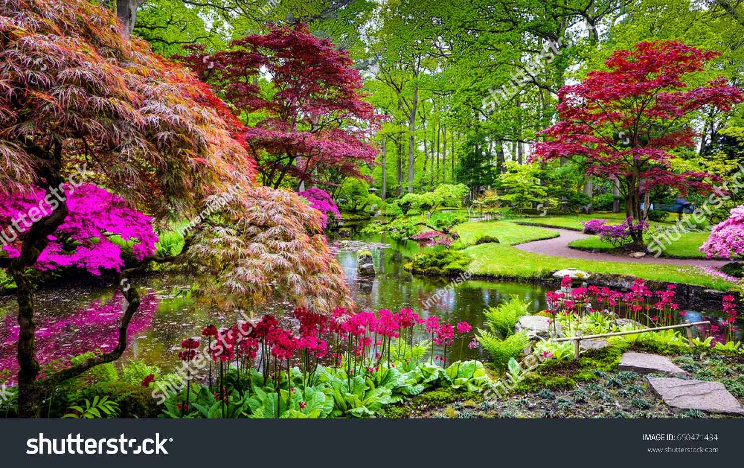 stock-photo-traditional-japanese-garden-in-the-hague-650471434.jpg