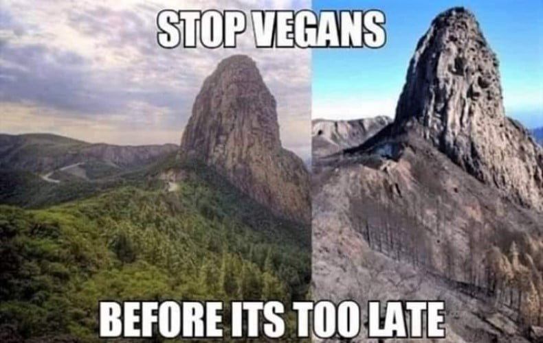 Stop Vegans.jpg