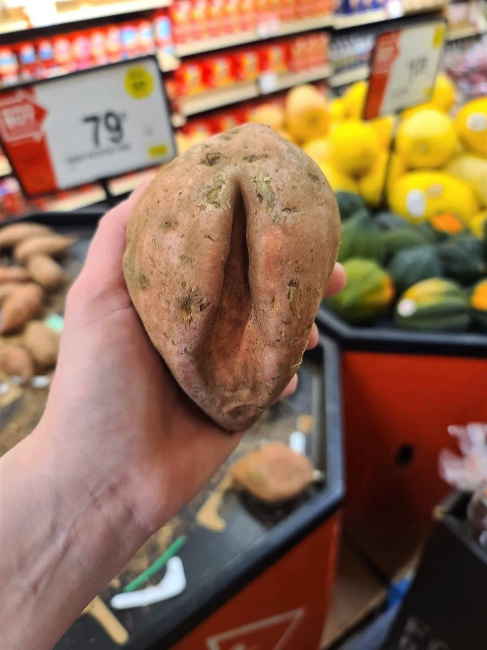 sweet potato.jpg