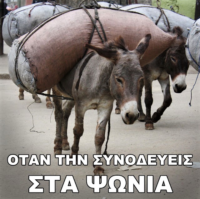 συνοδός στα ψώνια.jpg