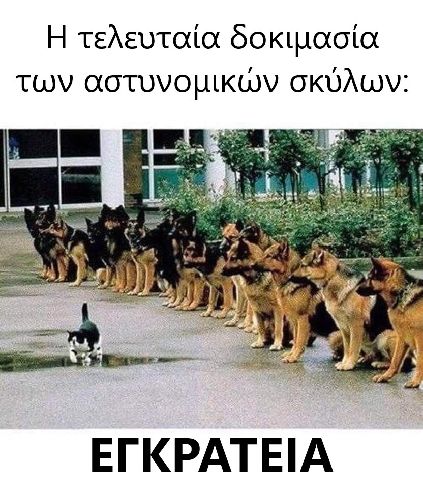 τεστ σκυλων αστυνομιας.jpg