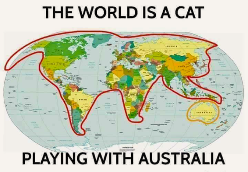 The world is a cat.png