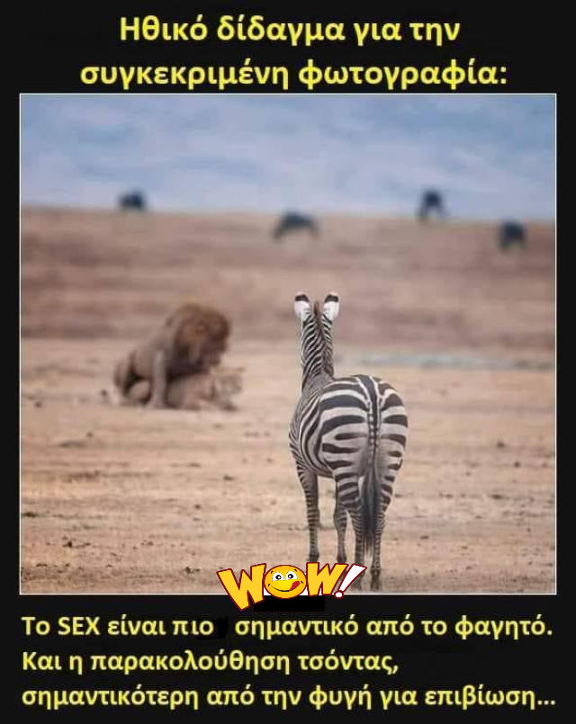 Τσόντα ή επιβίωση;.png