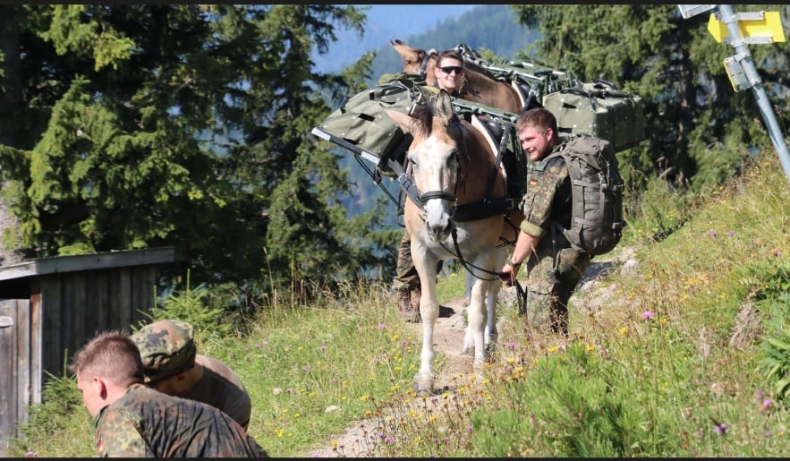 using-horses-to-carry-ammunition.jpg