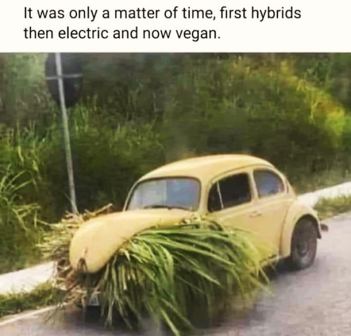 Vegan car.jpg