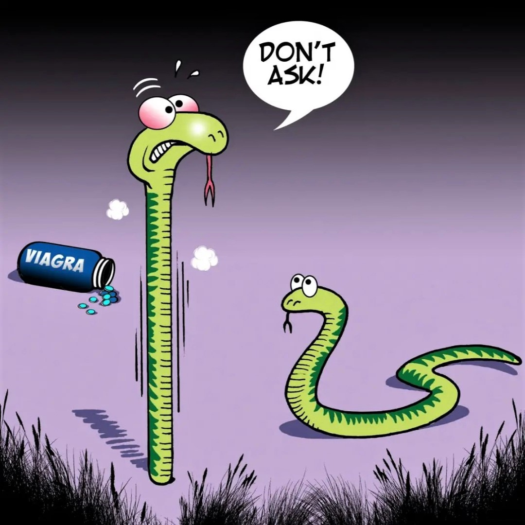 Viagra Funny Cartoon.jpg