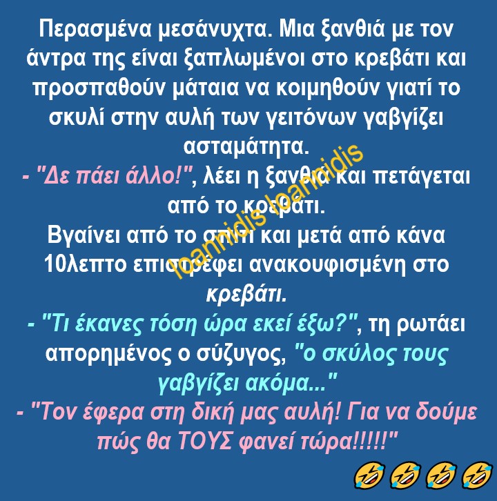 ξανθια σκυλος.jpg