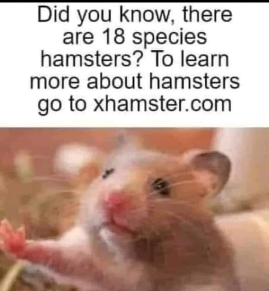 xhamster.jpg