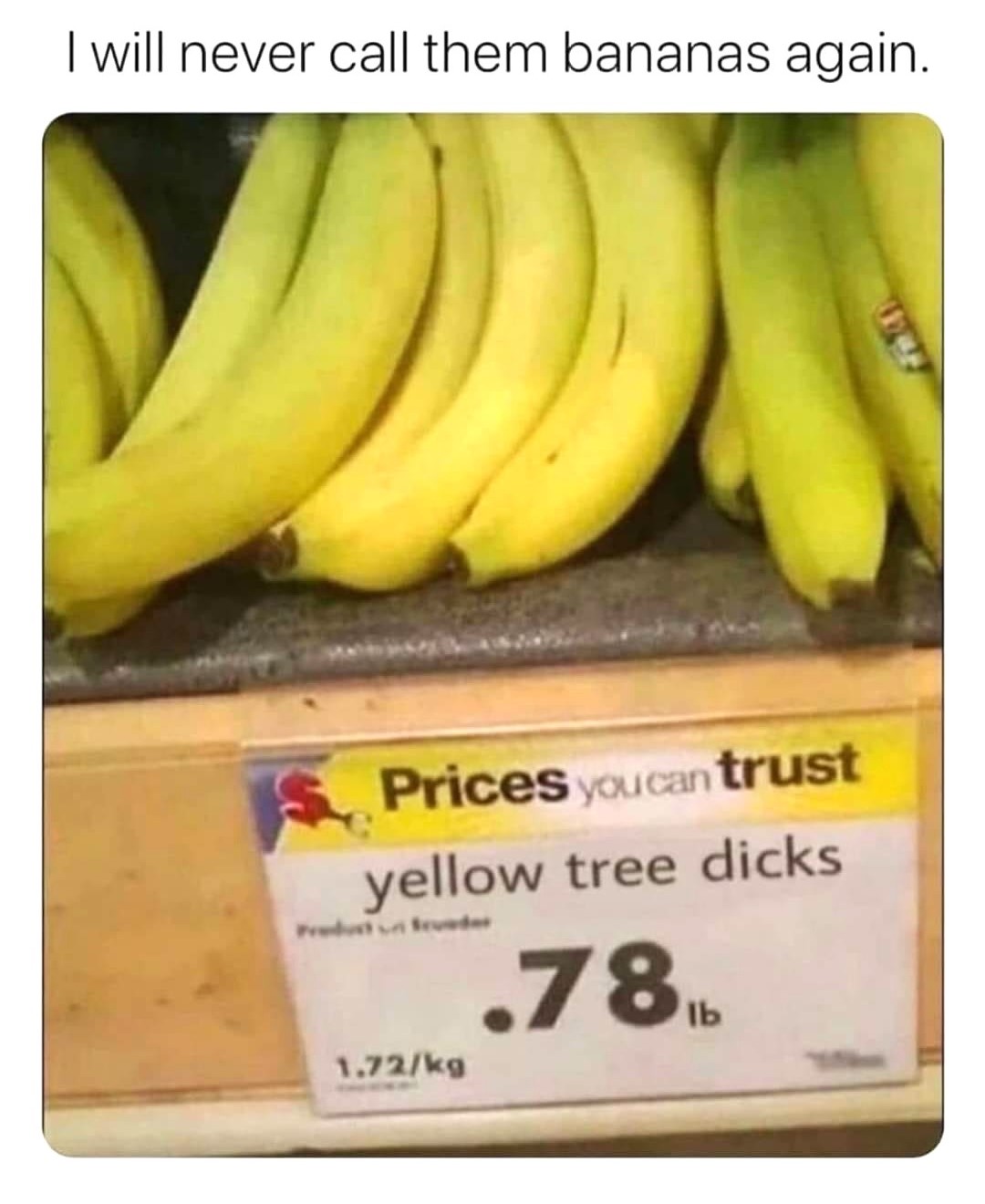 Yellow tree dicks.jpg