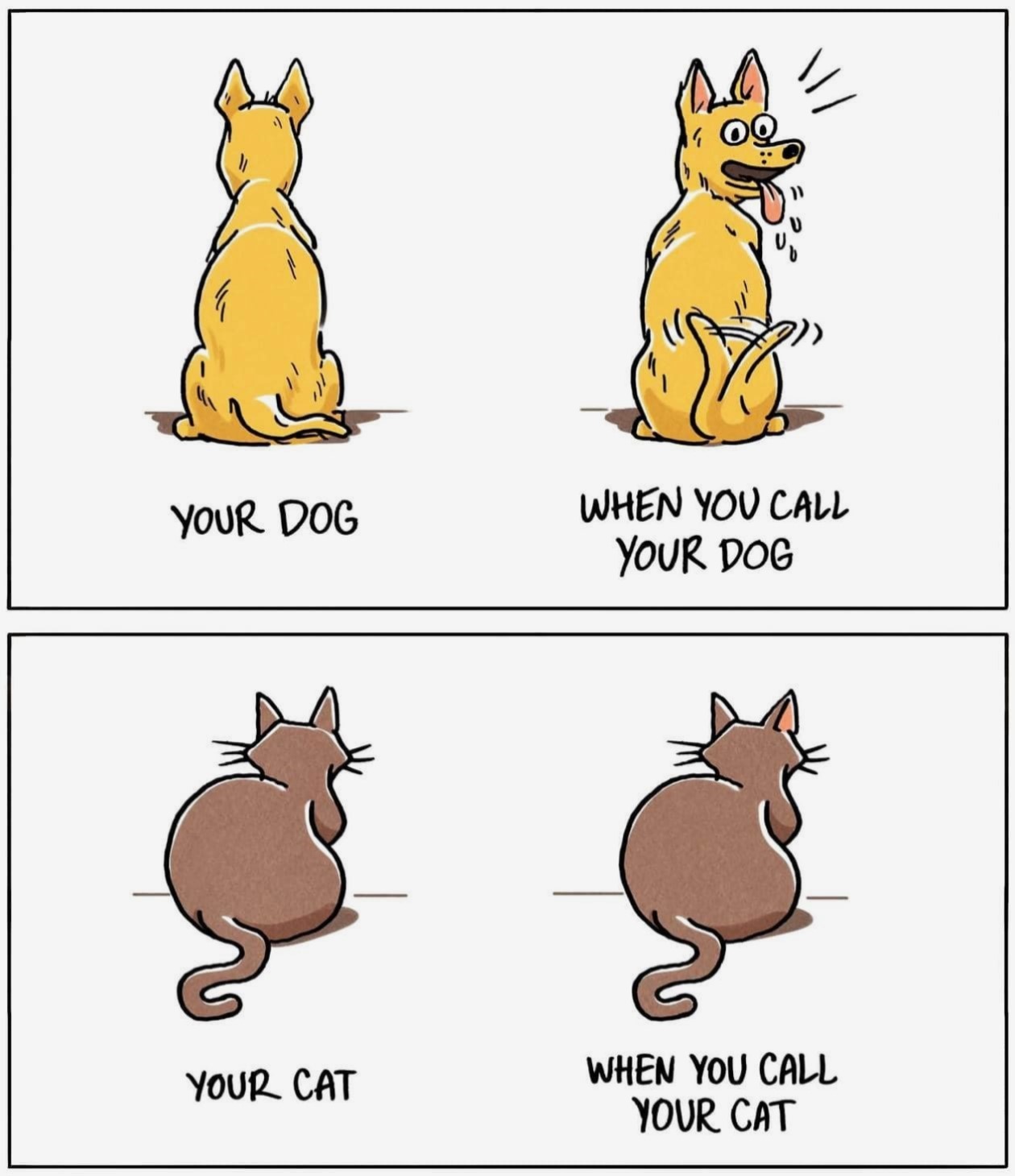 Your dog and cat.jpg