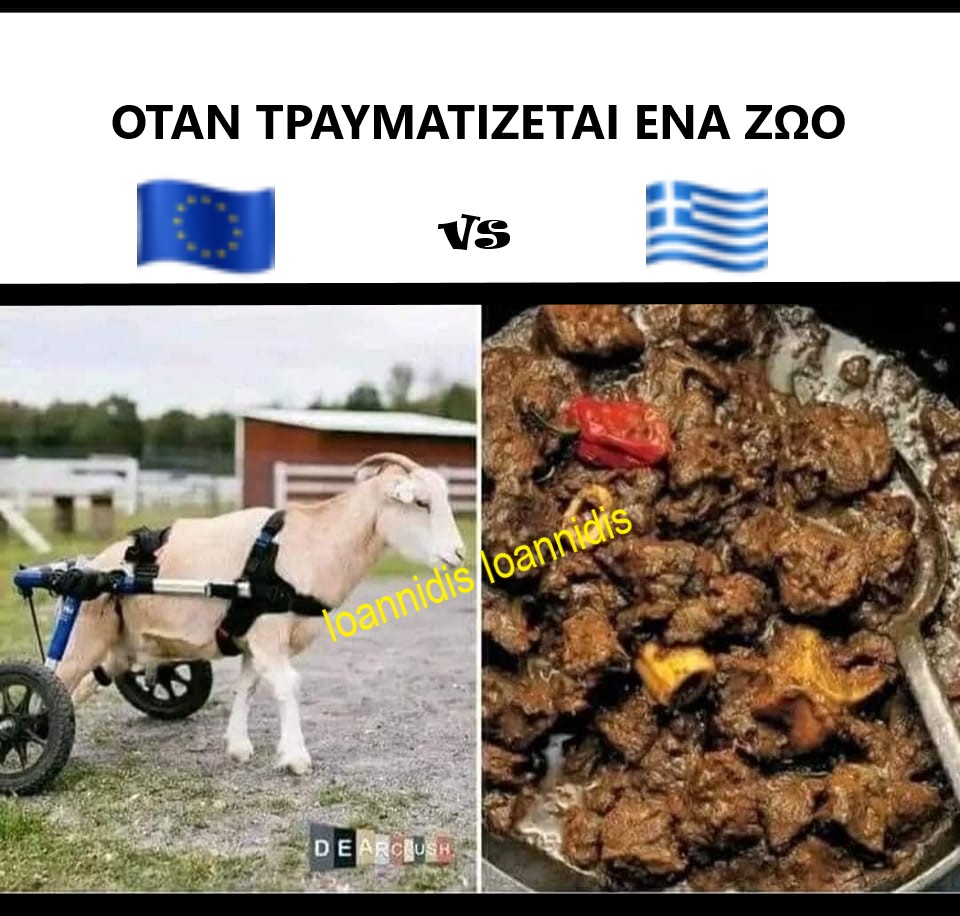 ζωο τραυματιζεται.jpg