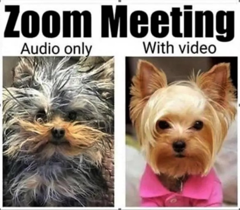 Zoom Meeting.jpg