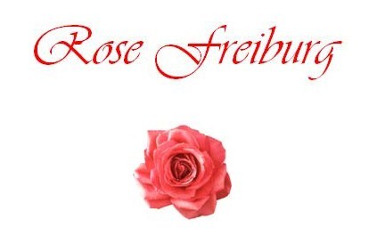 Rose Freiburg