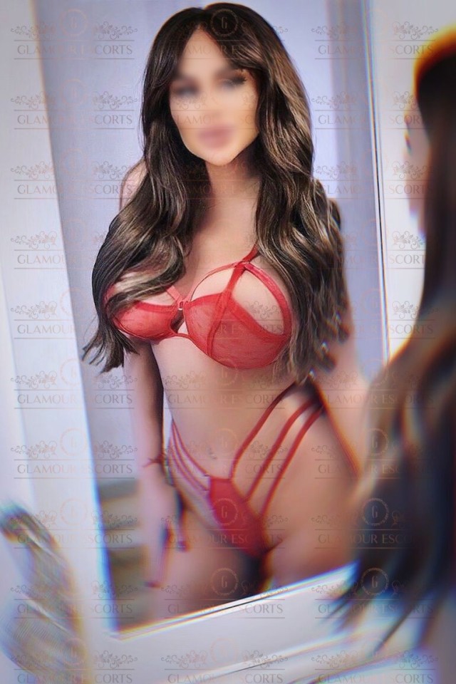 Elena5 (GlamourEscorts)  escort