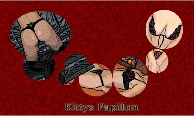 Kitty's Papillon